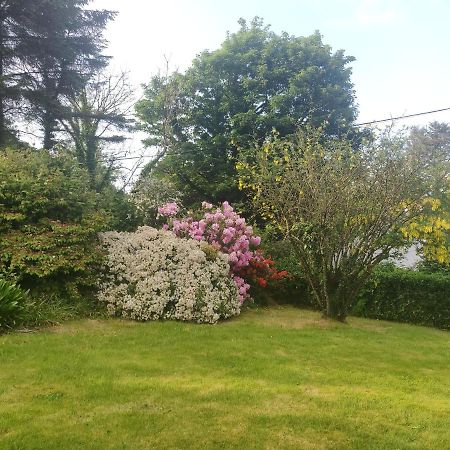Leenan View Country House Guest House Portsalon Exterior foto