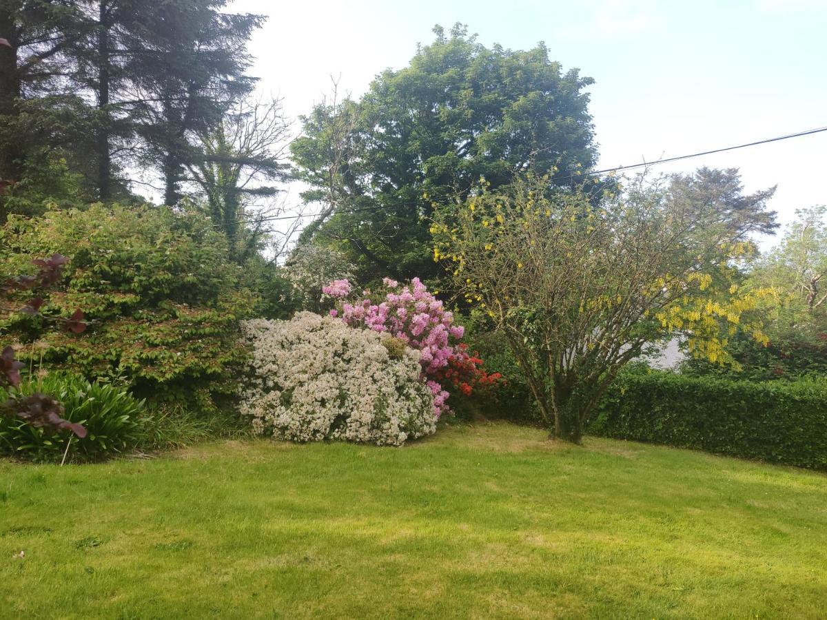 Leenan View Country House Guest House Portsalon Exterior foto